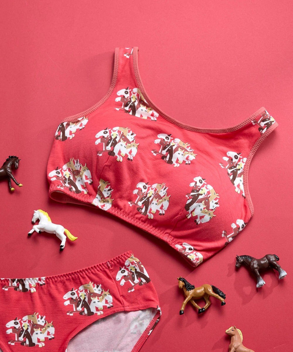 une nana cool 2026年お年賀「まるっとうまくいく」 ナイトアップブラ ノンワイヤーブラ 