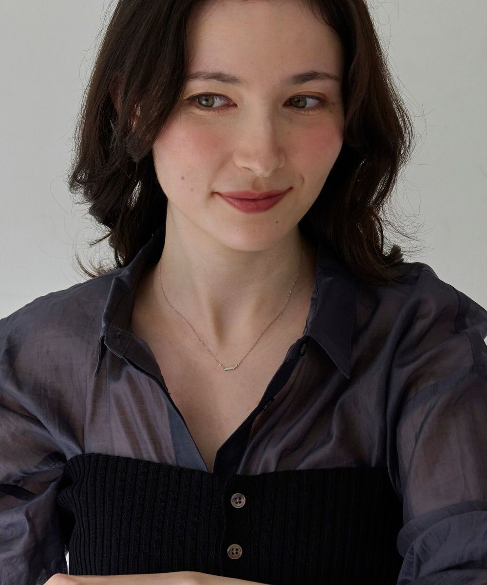 Phoebe 【金属アレルギー対応】ストレートバービジューネックレス　シルバー 