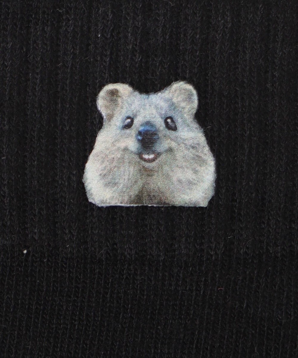 WEGO アニマルプリントショートソックス 