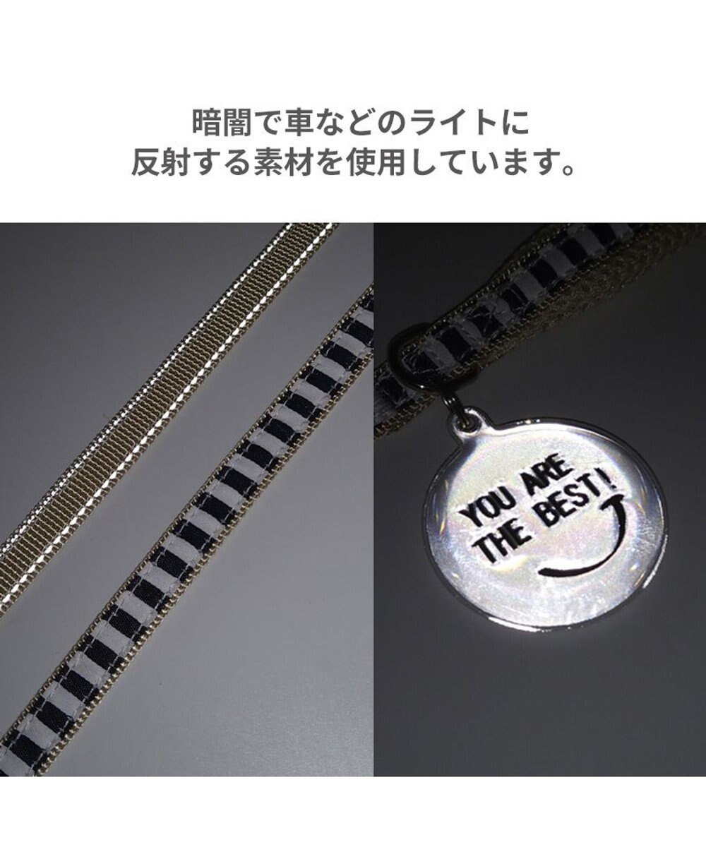 PET PARADISE 犬 リード 【４Ｓ~３Ｓ】 ボーダー 