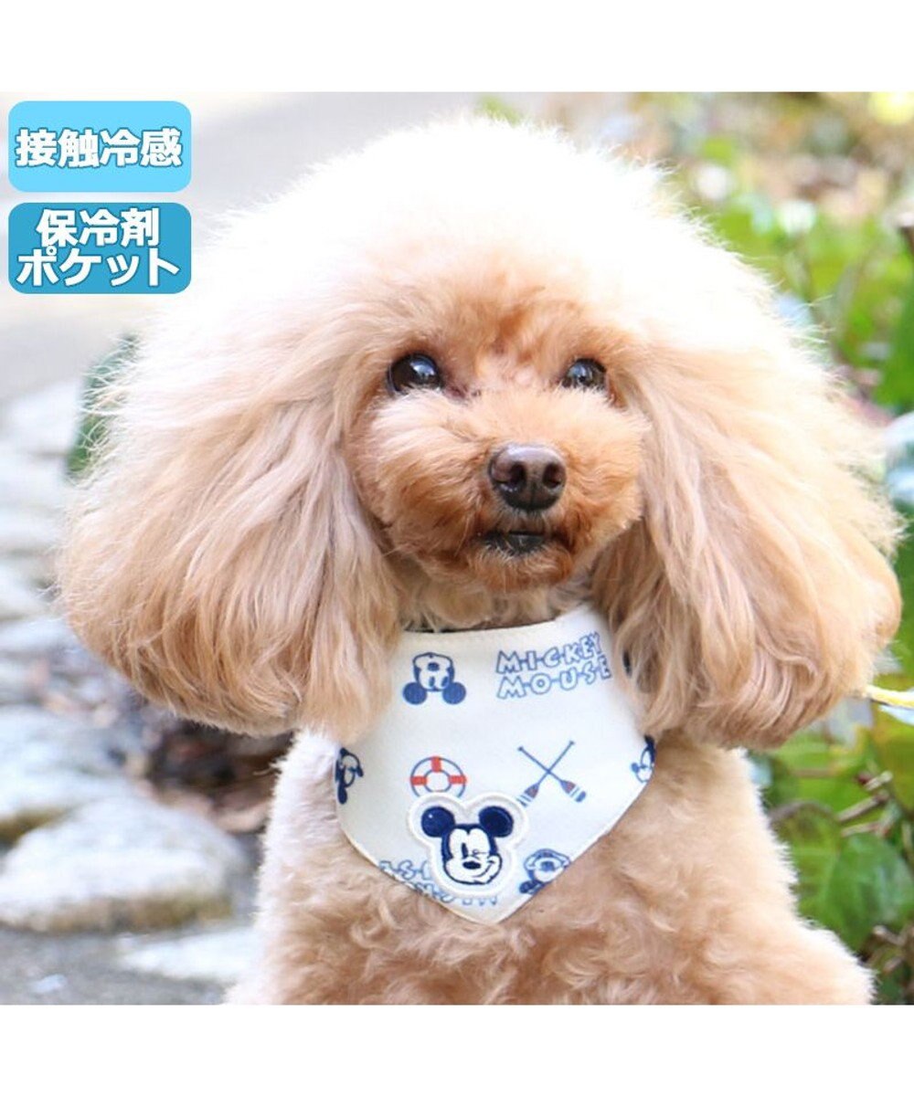 犬 クール バンダナ ひんやり 夏 保冷剤付き ディズニー ミッキーマウス マリン柄 ネッククーラー 小型犬 首元 ひんやり バンダナ ひんやり 涼感 冷却 吸水速乾 キャラクター Pet Paradise ファッション通販 公式通販 オンワード クローゼット