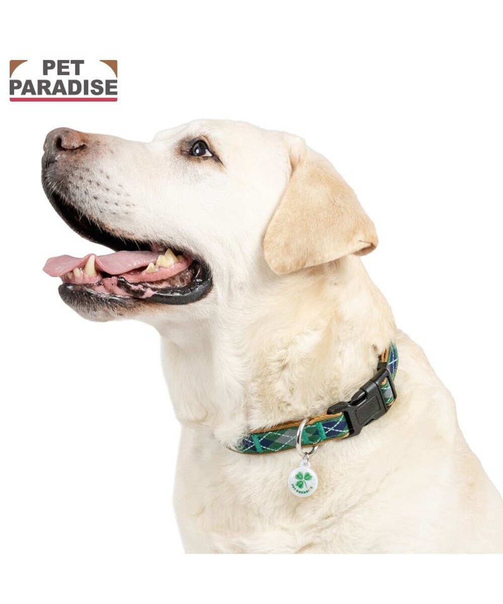 PET PARADISE ペットパラダイス チェック柄 首輪 Ｍ 大型犬 