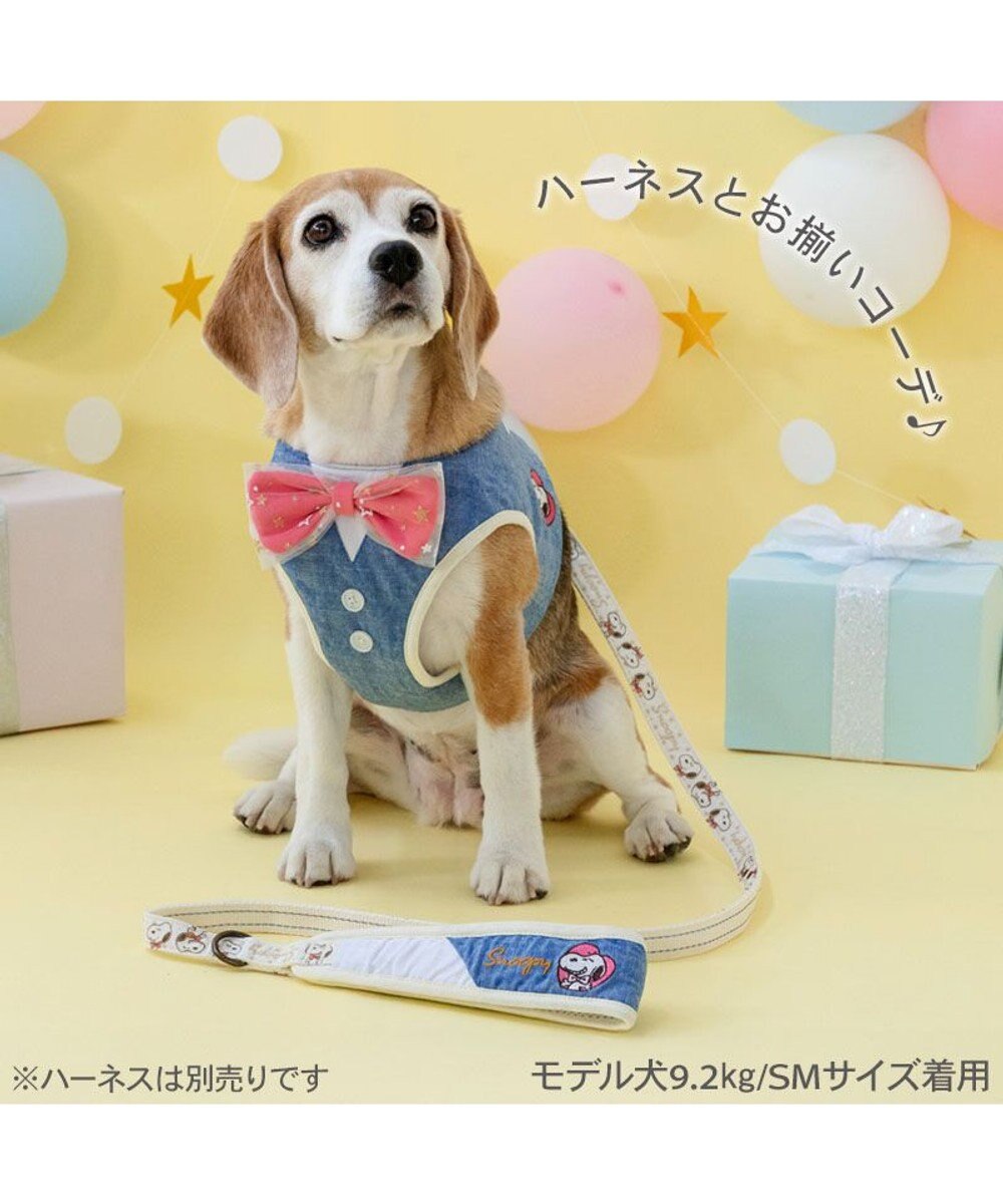 PET PARADISE スヌーピー バースデー リード ＳＭ 