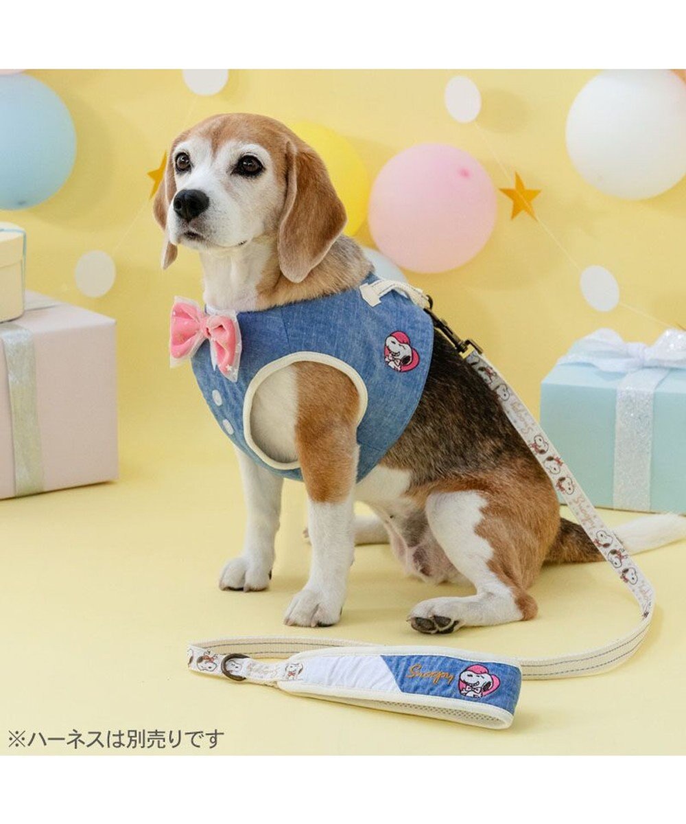 PET PARADISE スヌーピー バースデー リード ＳＭ 