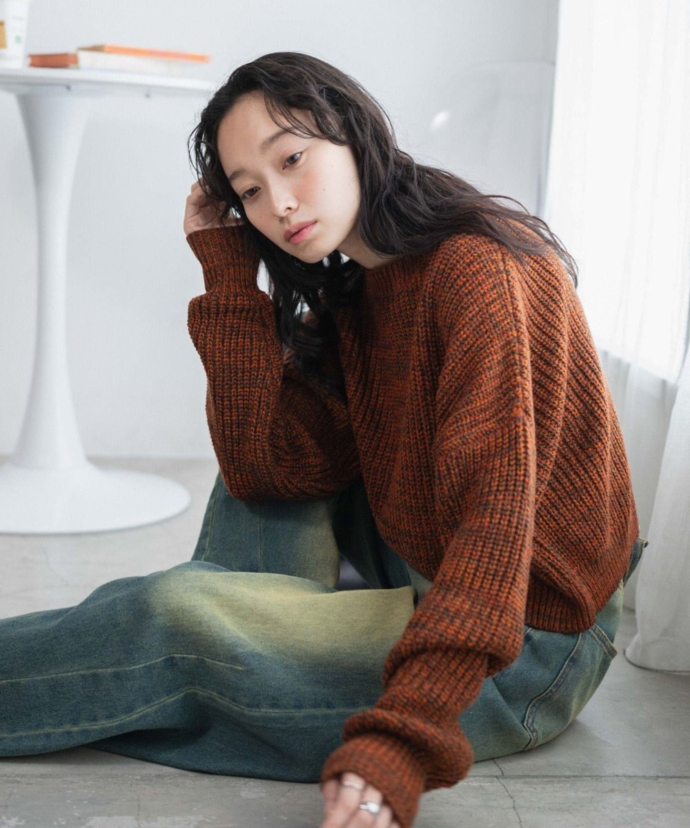 WEGO ミックスカーラーショートニット 