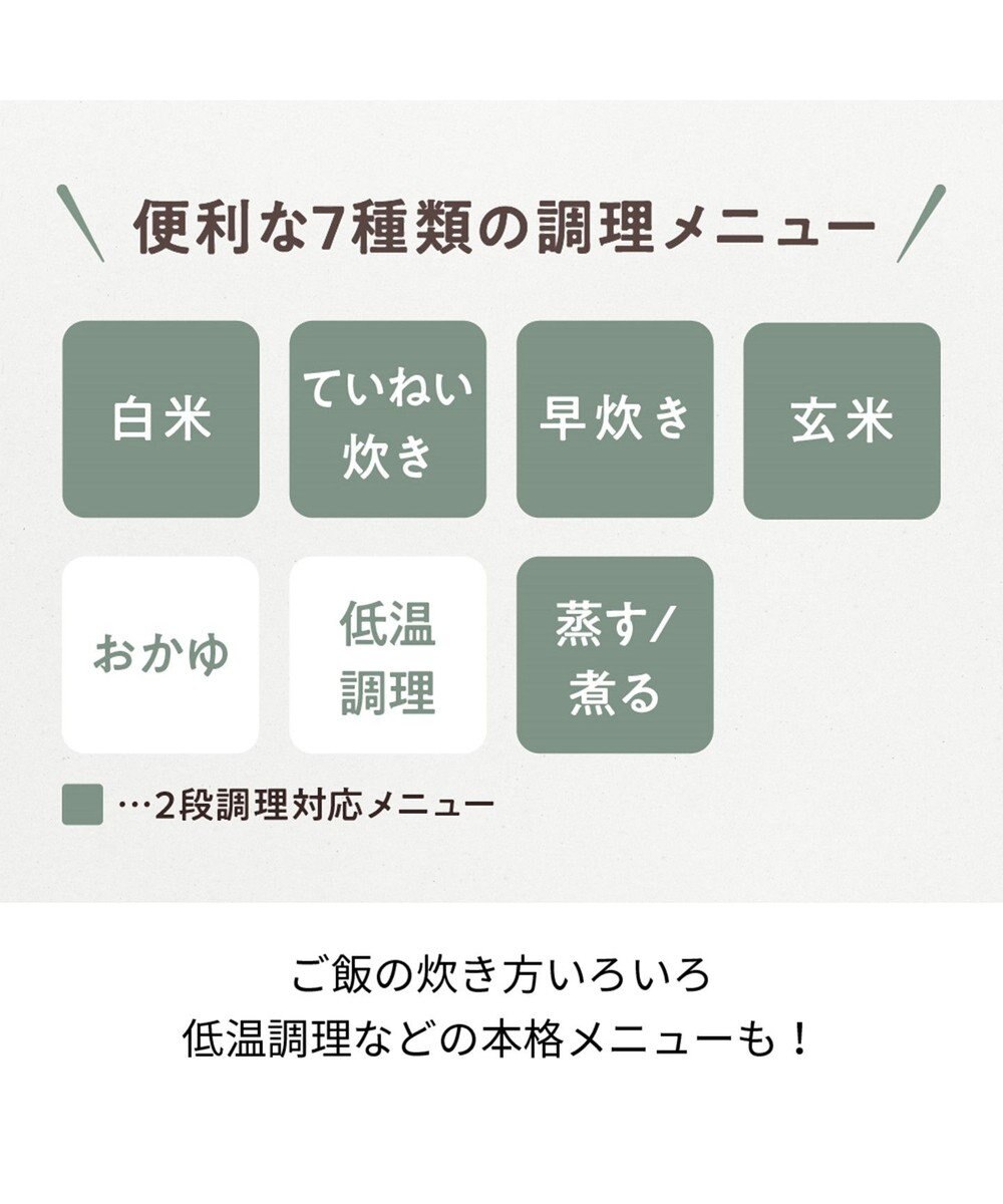 YAMATO テーブル＆キッチン 【レコルト】クッキングライスクッカー  グレー  RCR-2(GY) 