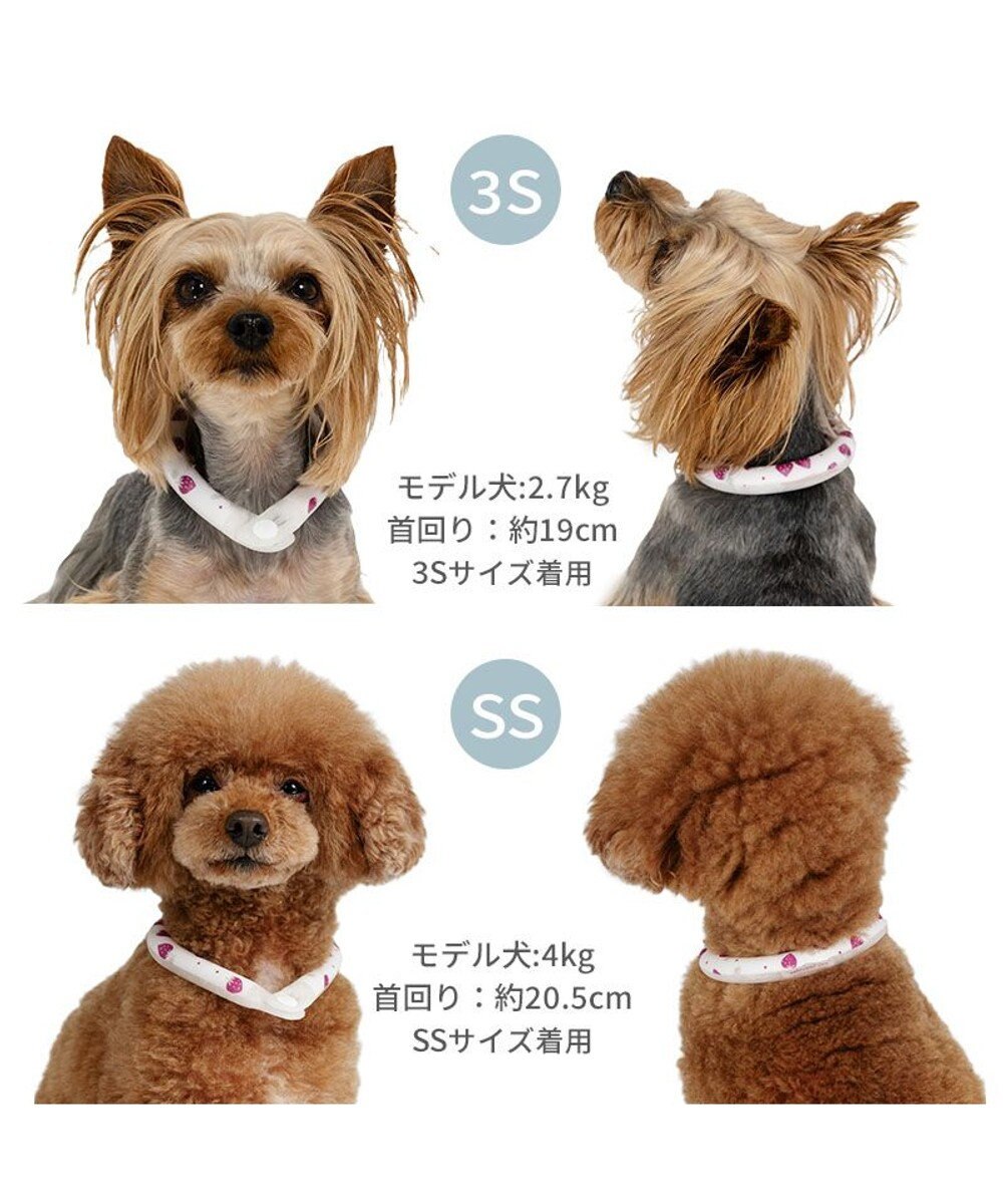 PET PARADISE ペットパラダイス 28℃クールリング  《いちご》 ＳＳ 小型犬 