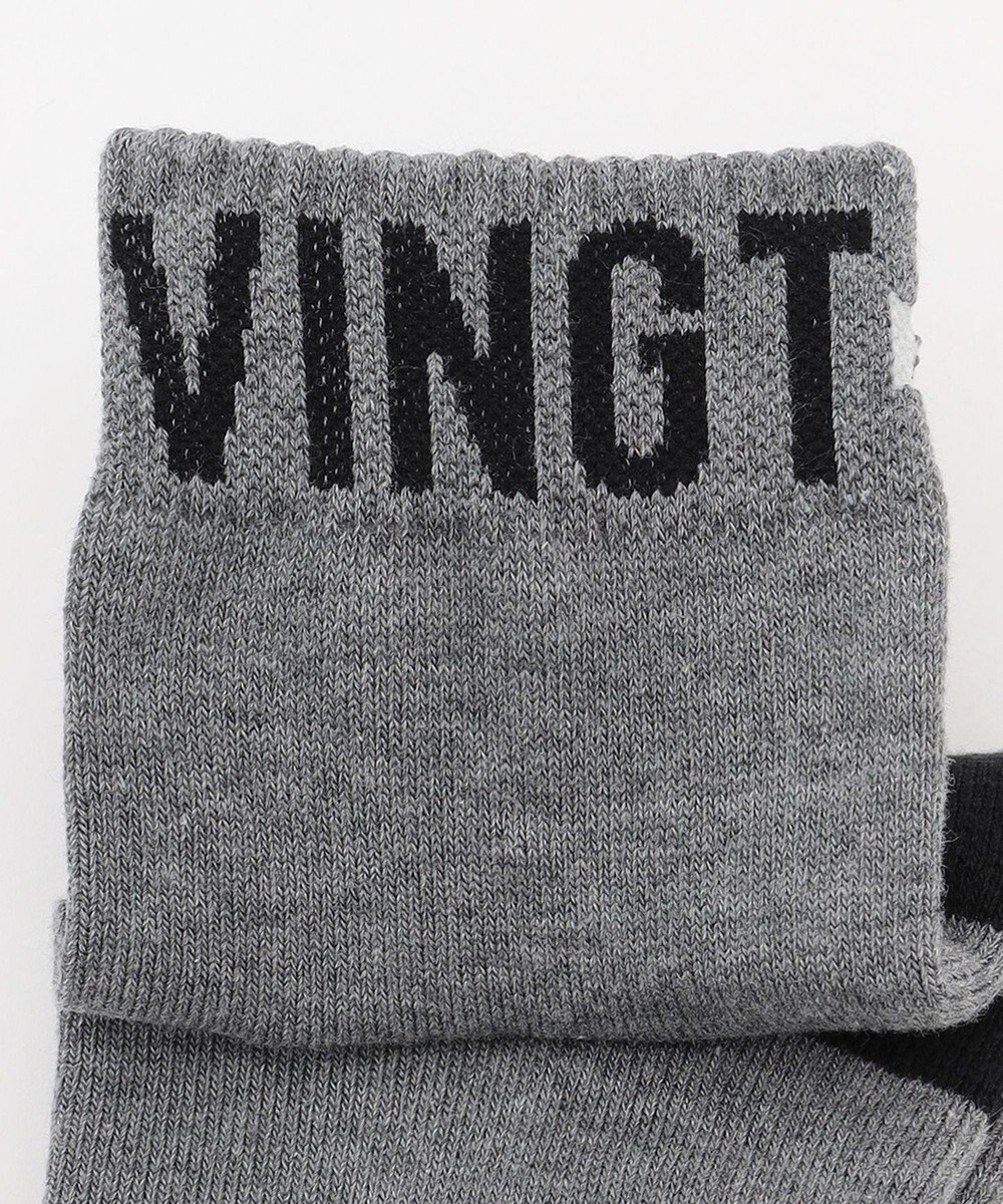 23区GOLF 【MEN】ロゴラインハーフソックス　１５ｃｍ 