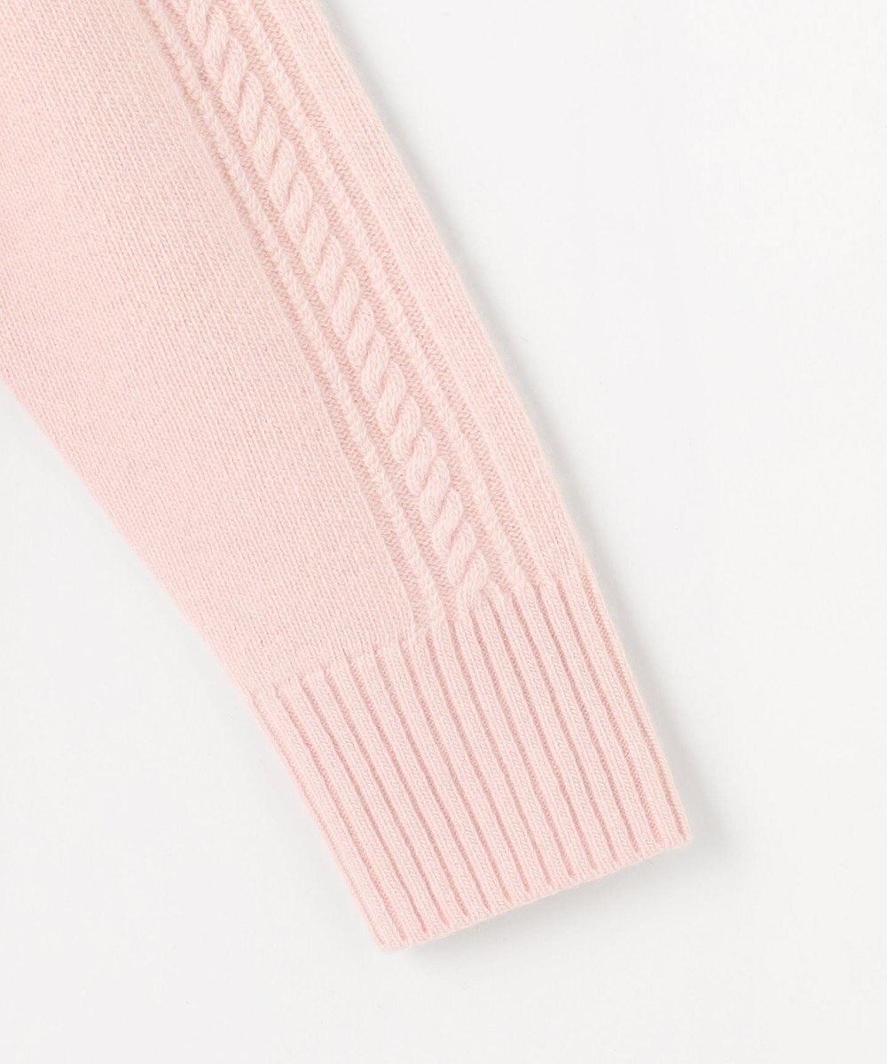 J.PRESS LADIES L 【WEB限定カラーあり】CAT クルーネック ニット 