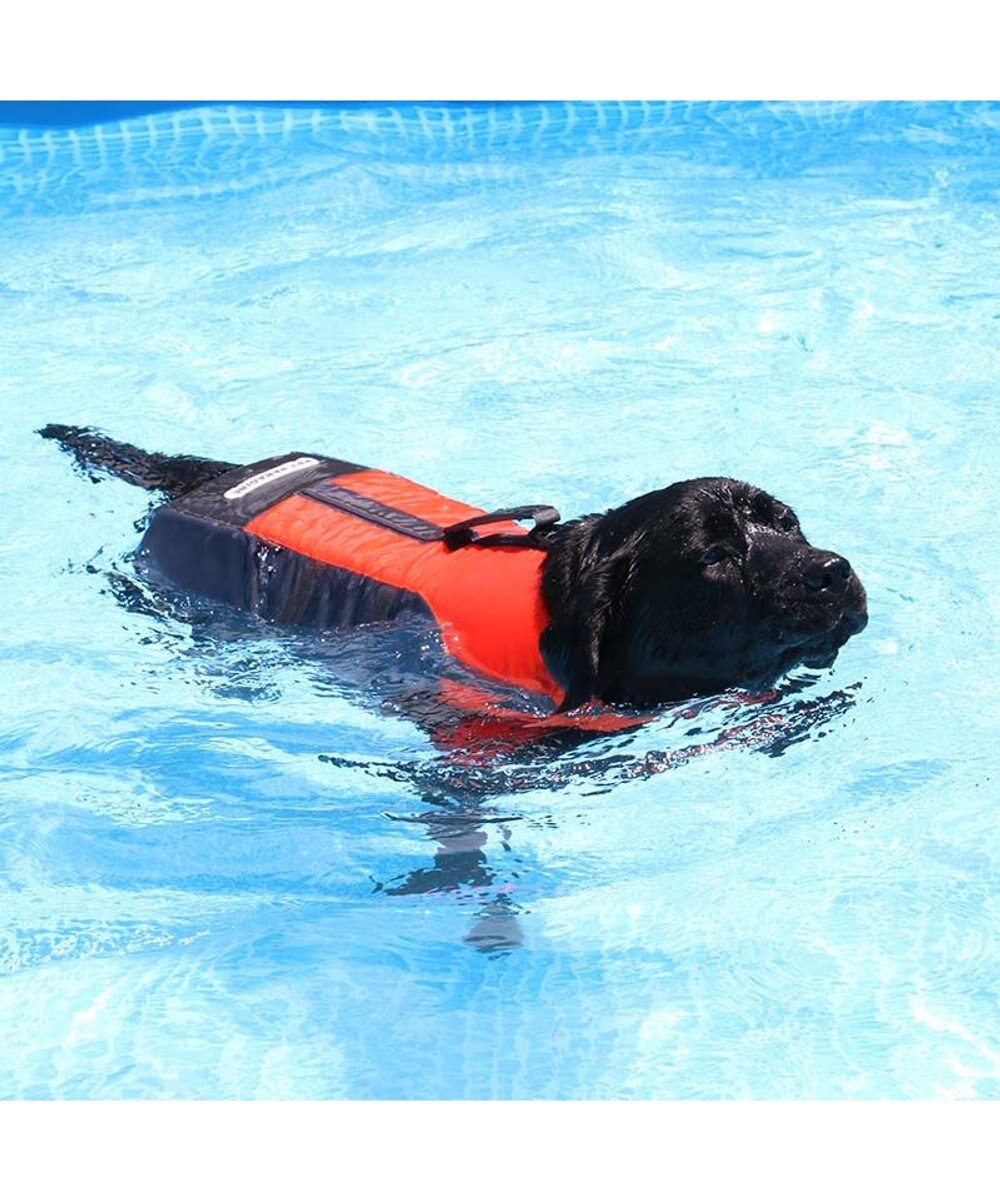 PET PARADISE ペットパラダイス ライフベスト 【Ｌ】 《オレンジ》 