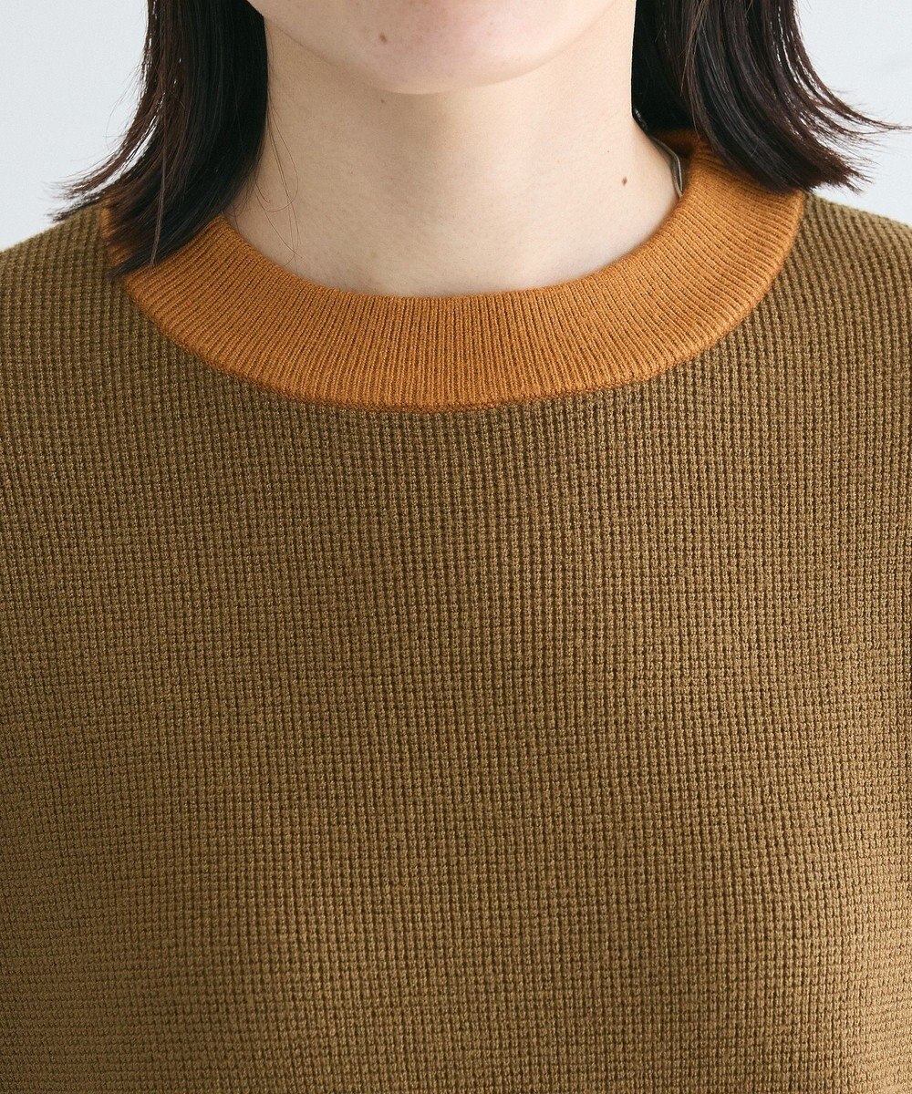 CRAFT STANDARD BOUTIQUE 洗える/とてもち配色ニットプルオーバー/24AW 