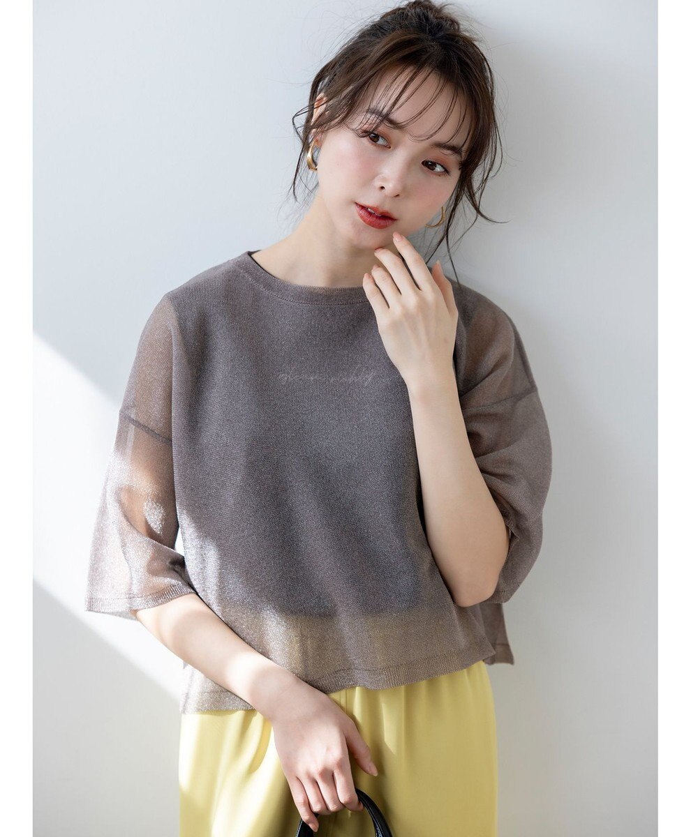 ANY SIS L 【洗える】シアー ニットT 