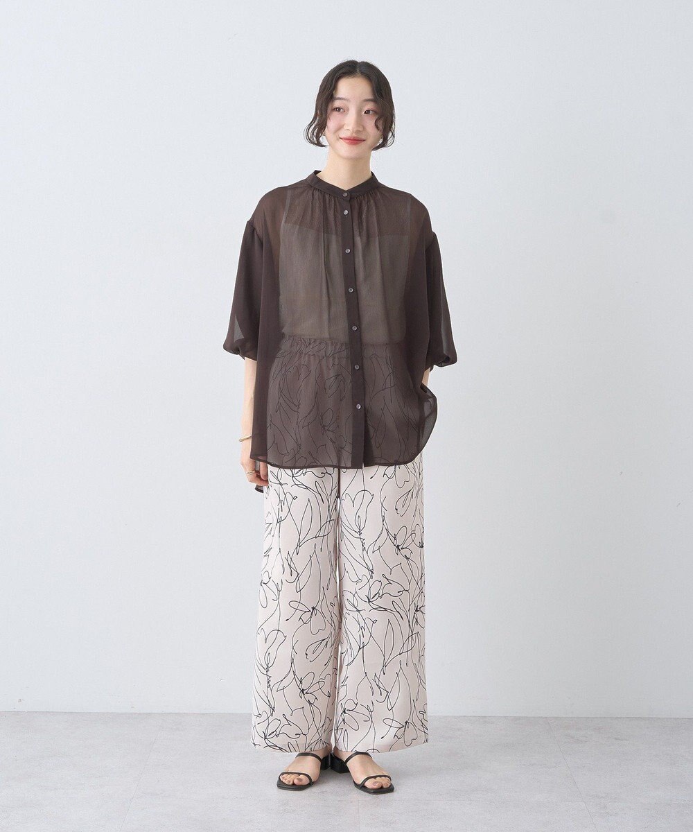 earth music&ecology バルーンスリーブシアーシャツ 