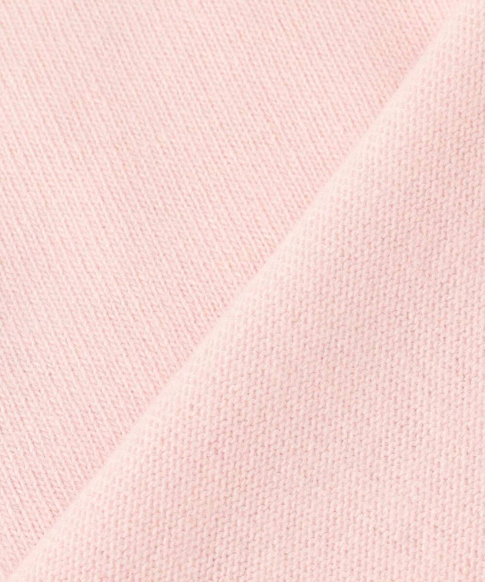 J.PRESS LADIES L 【WEB限定カラーあり】CAT クルーネック ニット 