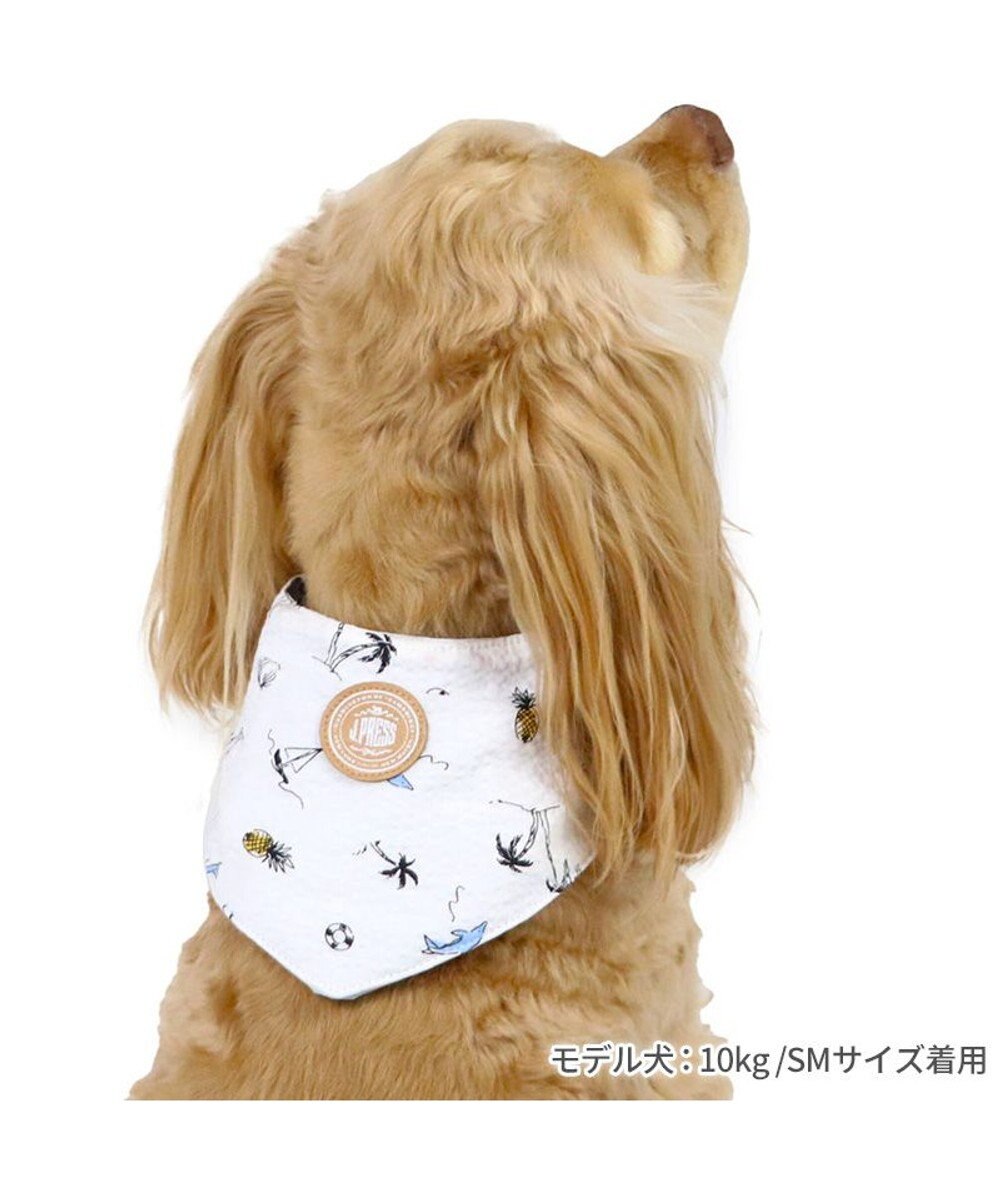 PET PARADISE J.PRESS リップル クールバンダナ 中型犬 