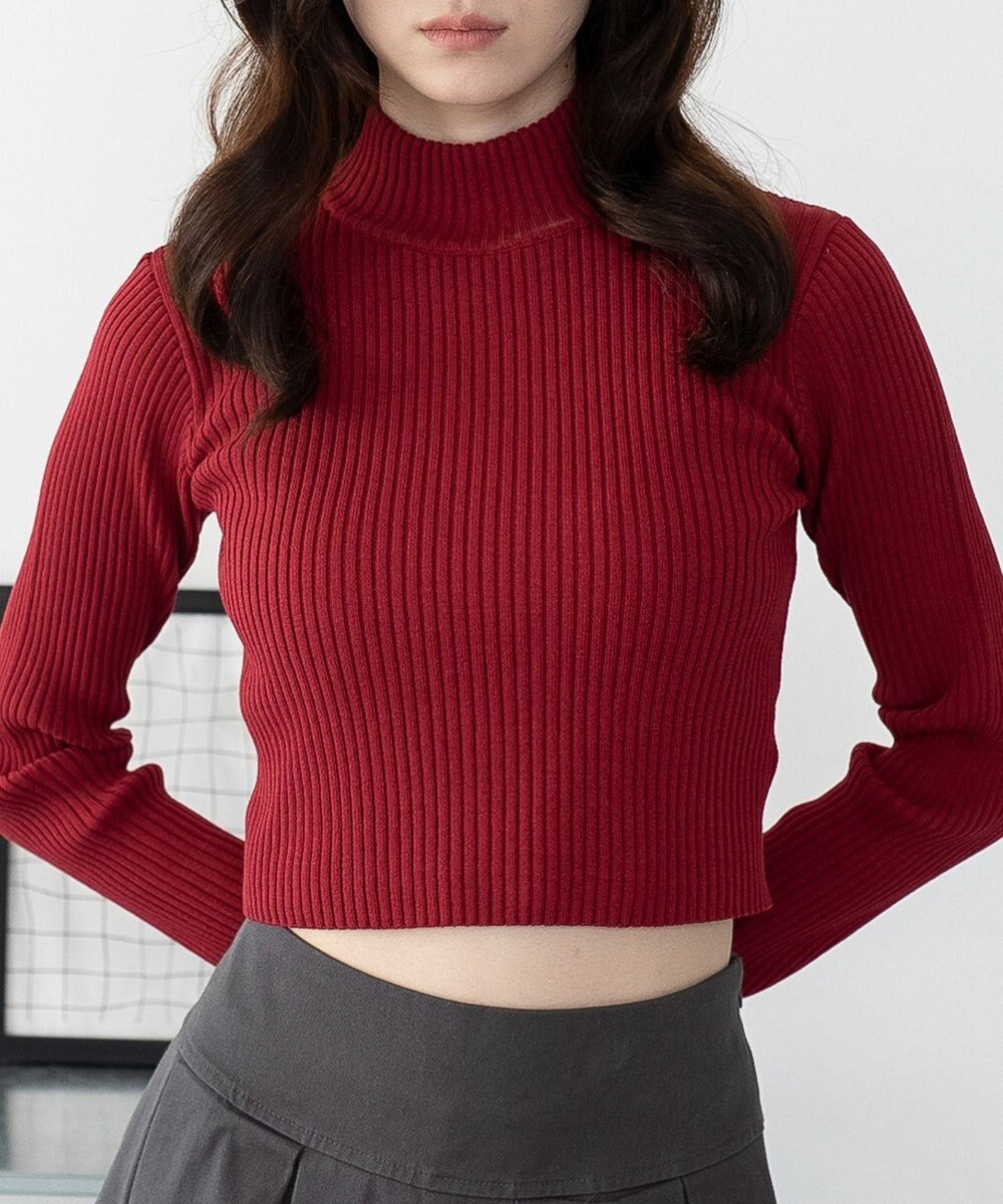 WEGO 【2025年秋冬新作】リブハイネックショートニット 
