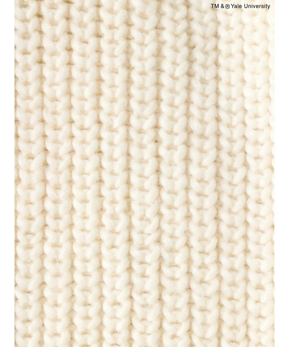 AMERICAN HOLIC ＴＭ＆Ｒ　ＹａｌｅＵｎｉｖｅｒｓｉｔｙニットカーディガン 