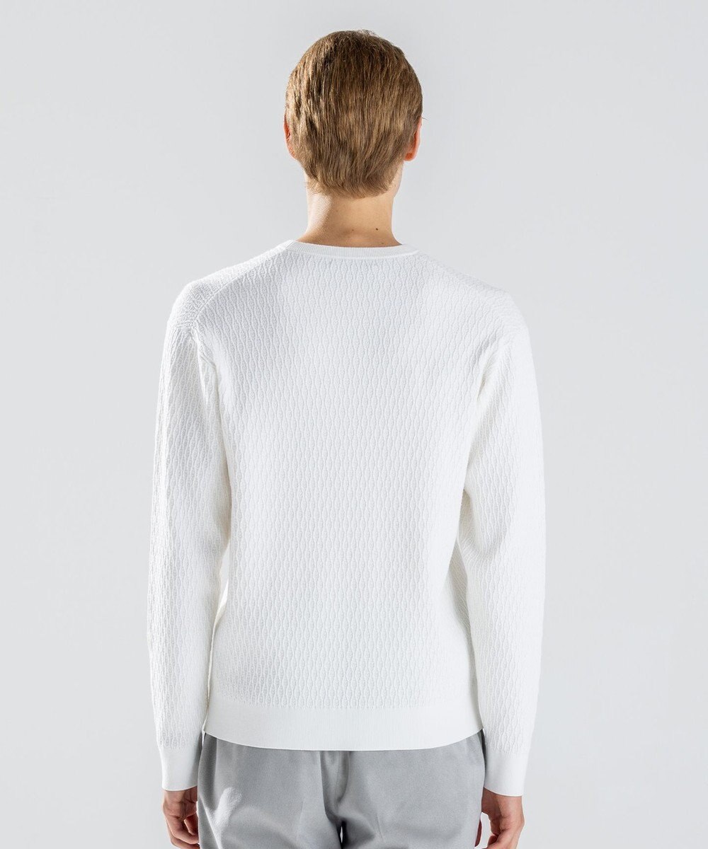 JOSEPH HOMME 【新柄】 ヴィスコースリンクス　クルーネックニット 