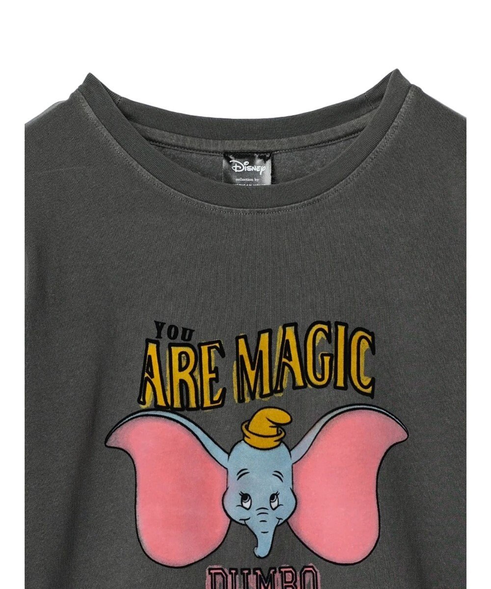 AMERICAN HOLIC フロッキーＰｔフェード加工Ｔ／Ｄｕｍｂｏ 