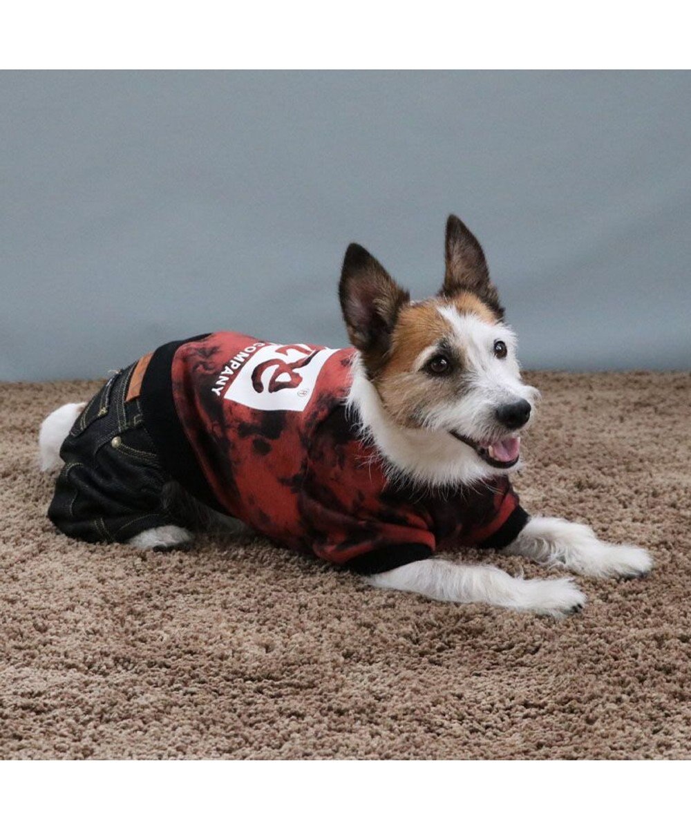 PET PARADISE Lee タイダイ つなぎパンツ  小型犬 