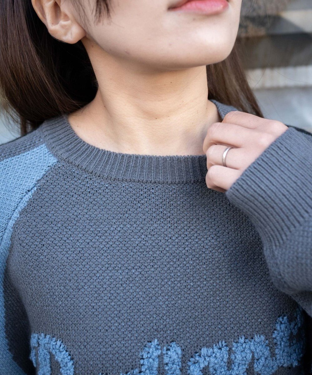 WEGO サガラロゴ配色BIGニットプルオーバー 