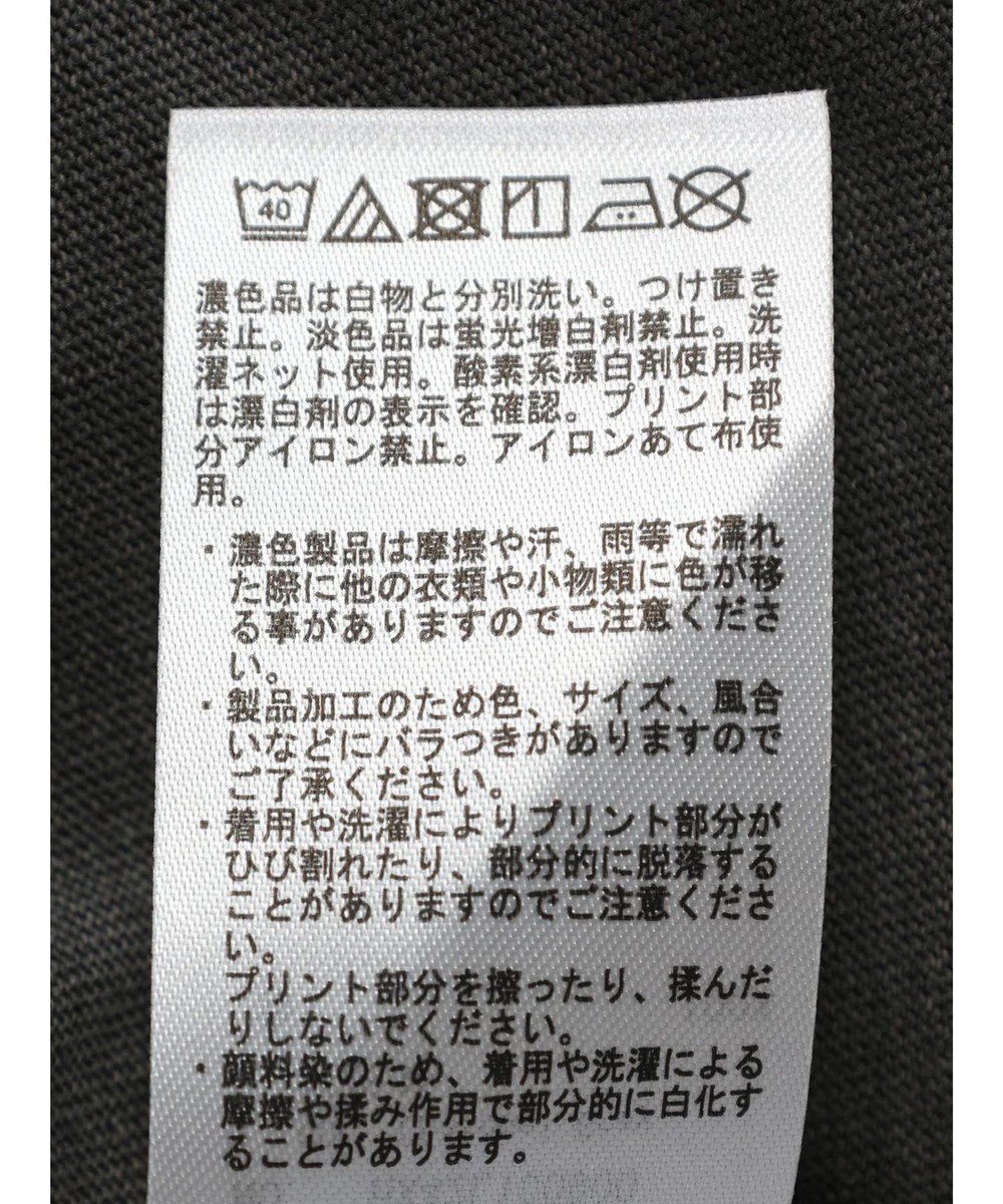 AMERICAN HOLIC フロッキーＰｔフェード加工Ｔ／Ｄｕｍｂｏ 