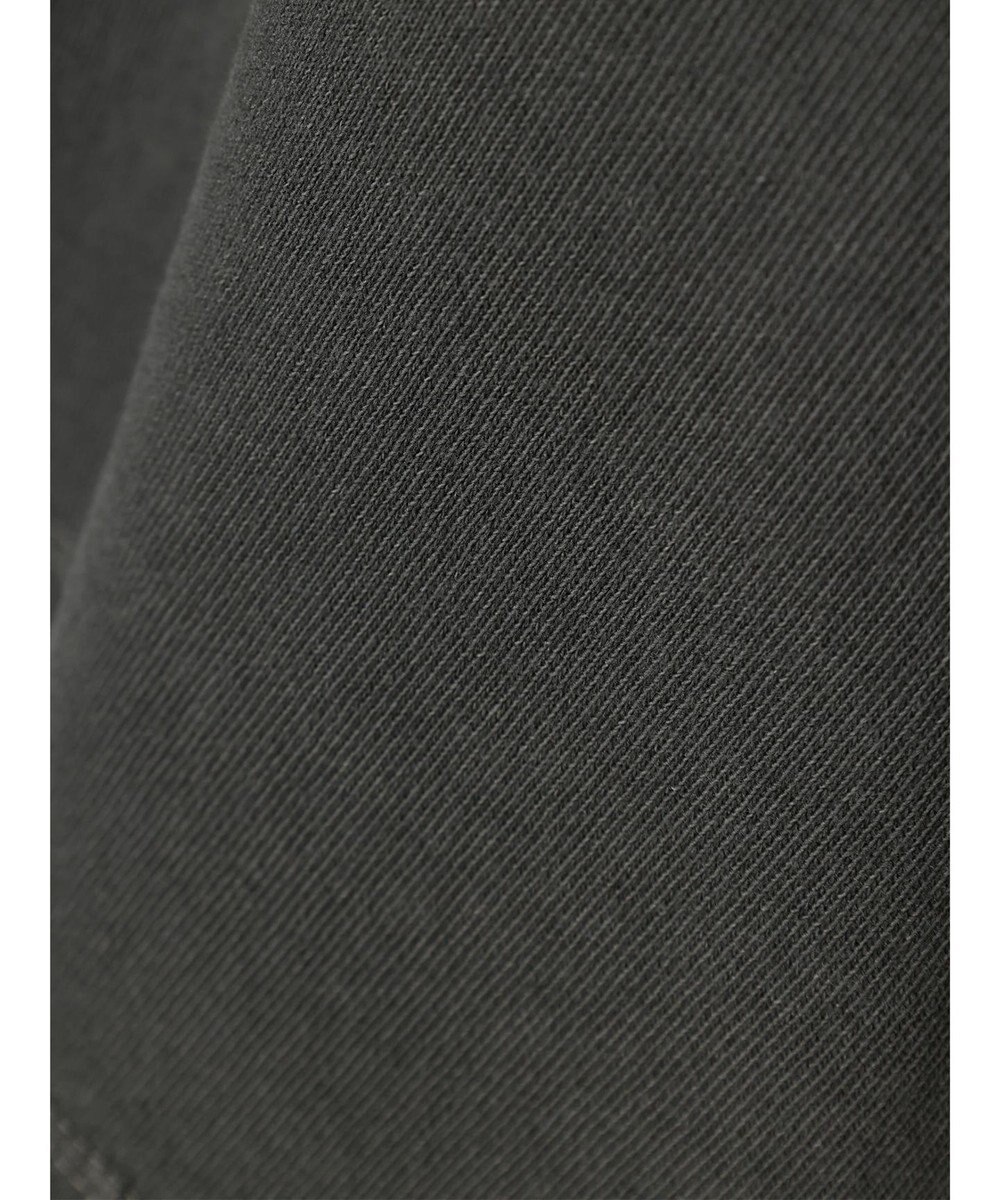 AMERICAN HOLIC フロッキーＰｔフェード加工Ｔ／Ｄｕｍｂｏ 