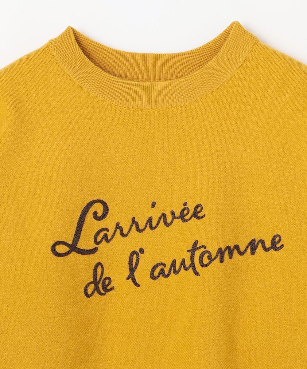 ANY 刺繍ロゴニット 