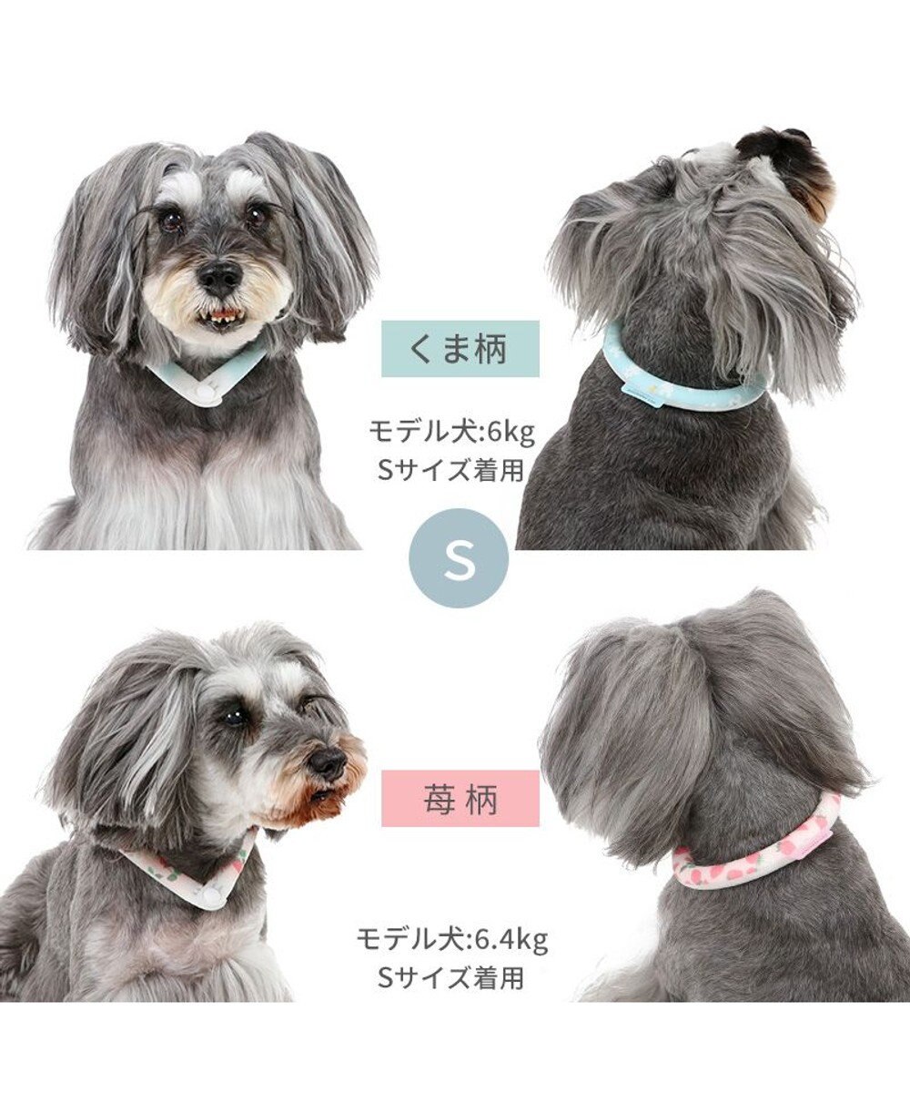 PET PARADISE ペットパラダイス 28℃クールリング SUO 《いちご柄》 〔Ｓ〕 小型犬 