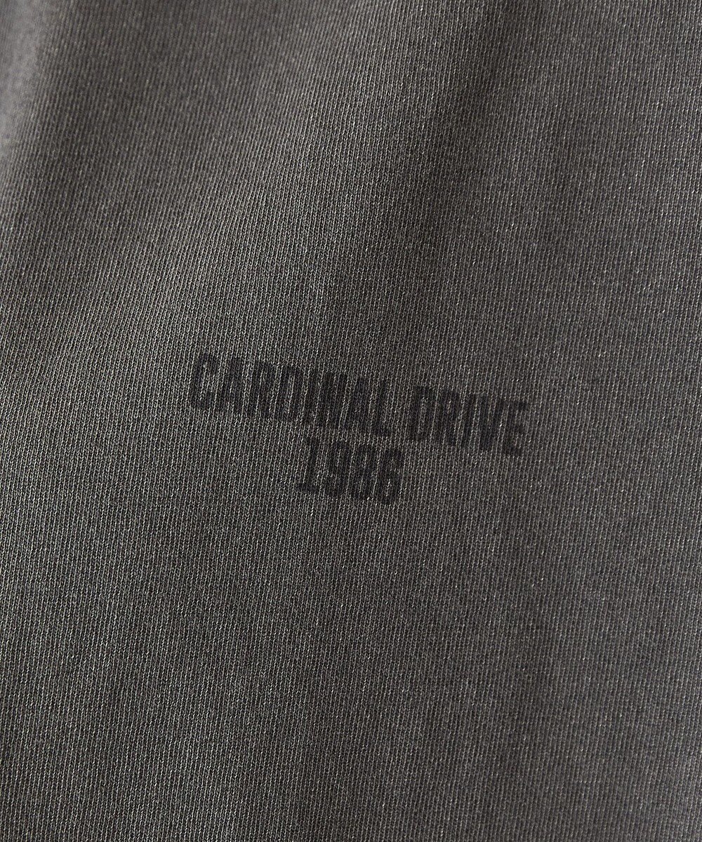 AMERICAN HOLIC バックロゴルーズＴシャツ 