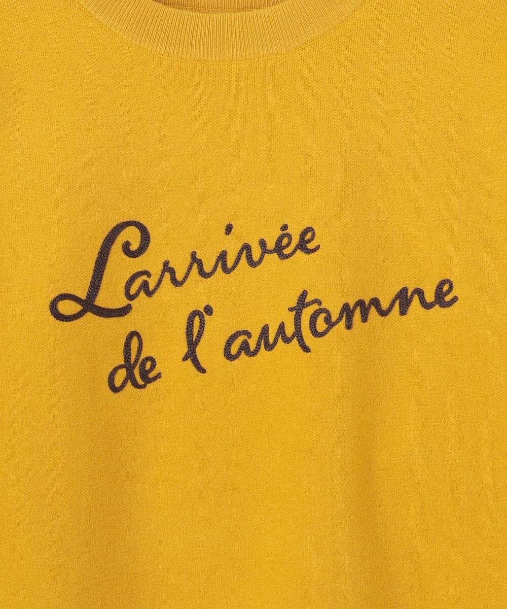 ANY 刺繍ロゴニット 