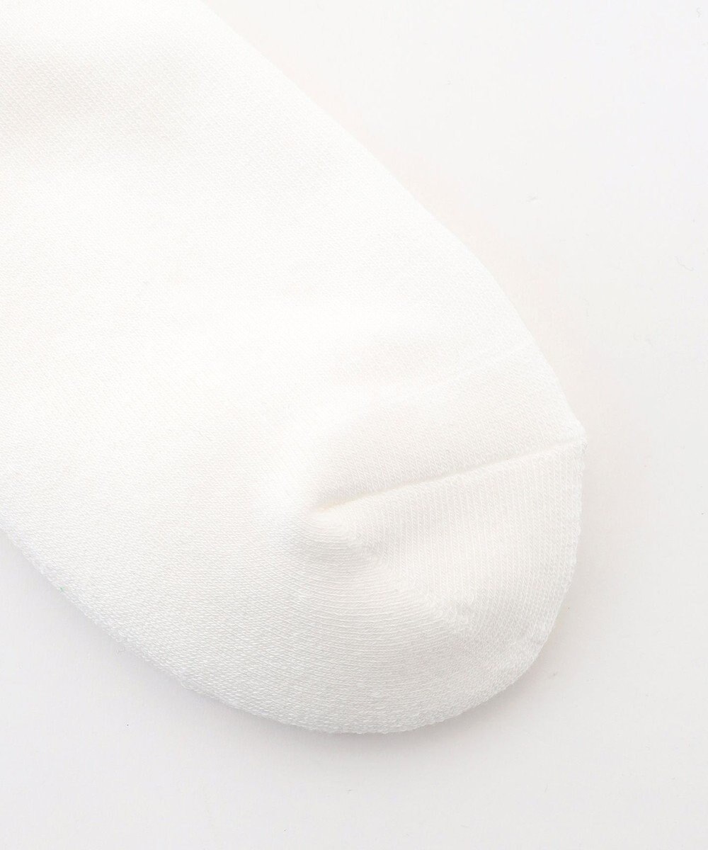 PW CIRCULUS 【MEN】グラデーションソックス ゴルフ 