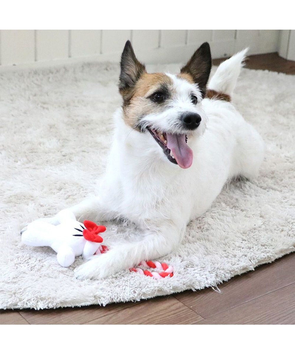 PET PARADISE ディズニー ミニーマウス 《手のロープトイ》 犬用おもちゃ 