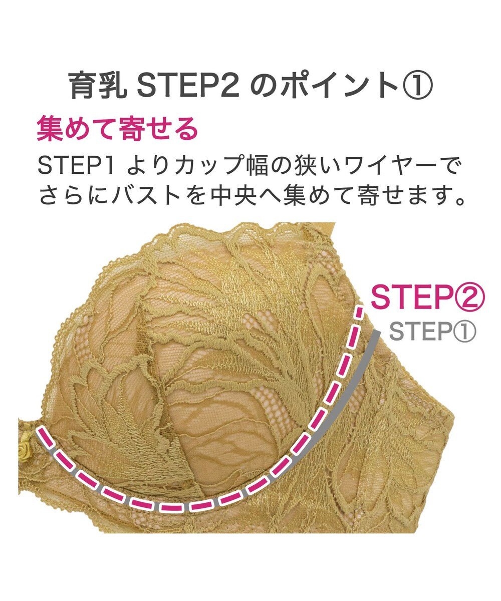BRADELIS New York 【BRADELIS New York/ 育乳補整ブラ・STEP2 寄せる】ナオミステップ2ブラ24A1 
