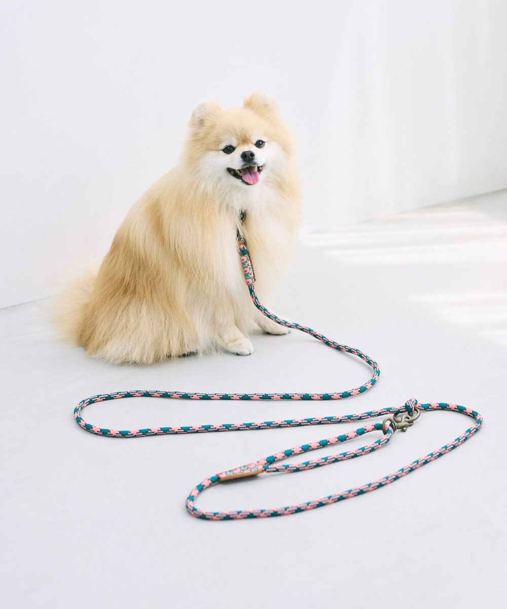 COQ HAPPY ARGYLE  ハンズフリーロングドッグリード 