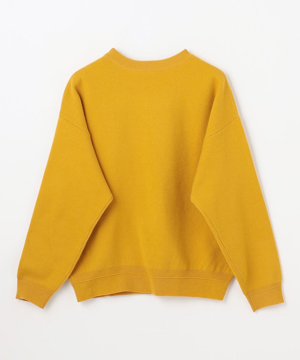 ANY 刺繍ロゴニット 