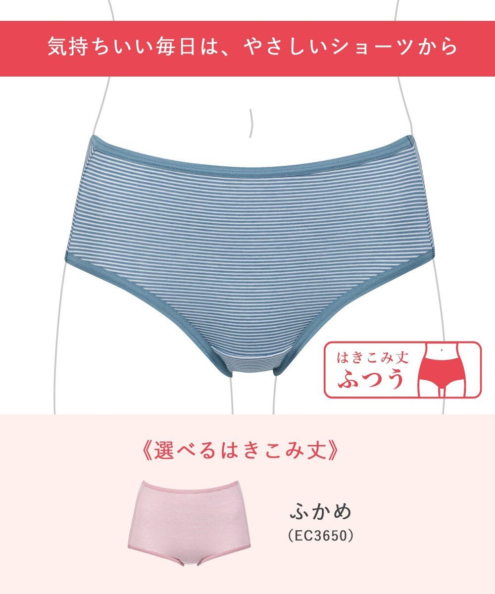 Wing ショーツ 綿混(身生地部) ここちよいフィット感 ムレにくい(身生地部) 【デイリーフィット 綿混ボーダー】 はきこみ丈ふつう EC2650 ウイング／ワコール 