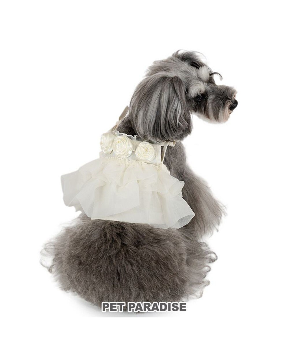 PET PARADISE cherircouture チュールビスチェ 小型犬 