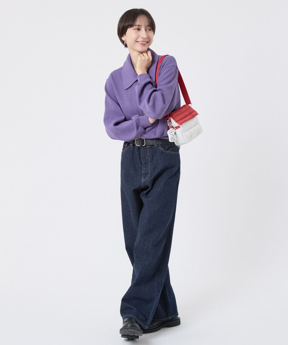 LeSportsac SNOOPY DOGHOUSE BAG/ホームスウィートスヌーピー 