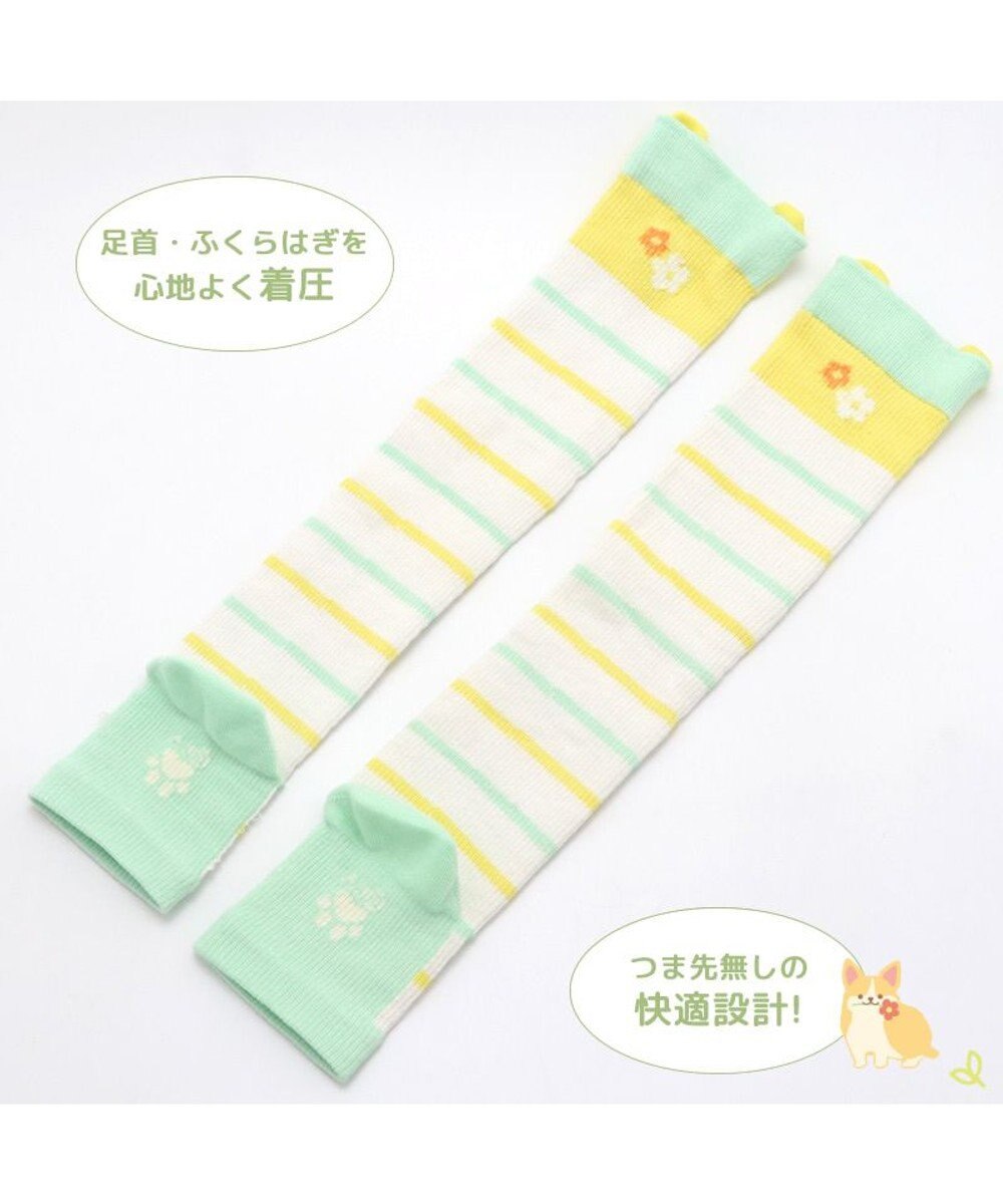 Mother garden マザーガーデン ふわんこ コーギー ひざ下 着圧靴下 レディースフリーサイズ 