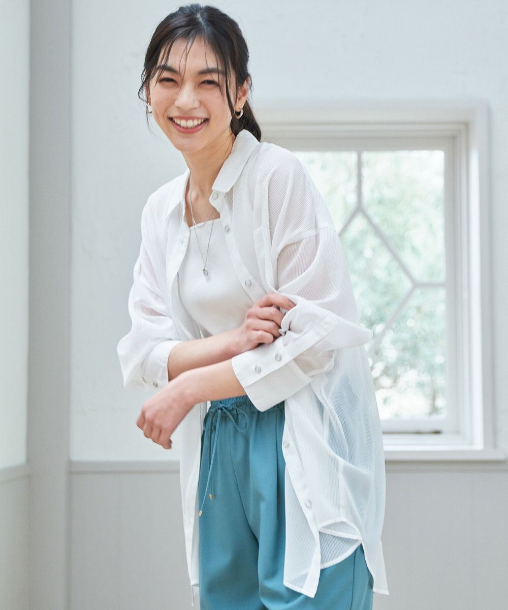 ANY シアーストライプシャツ 