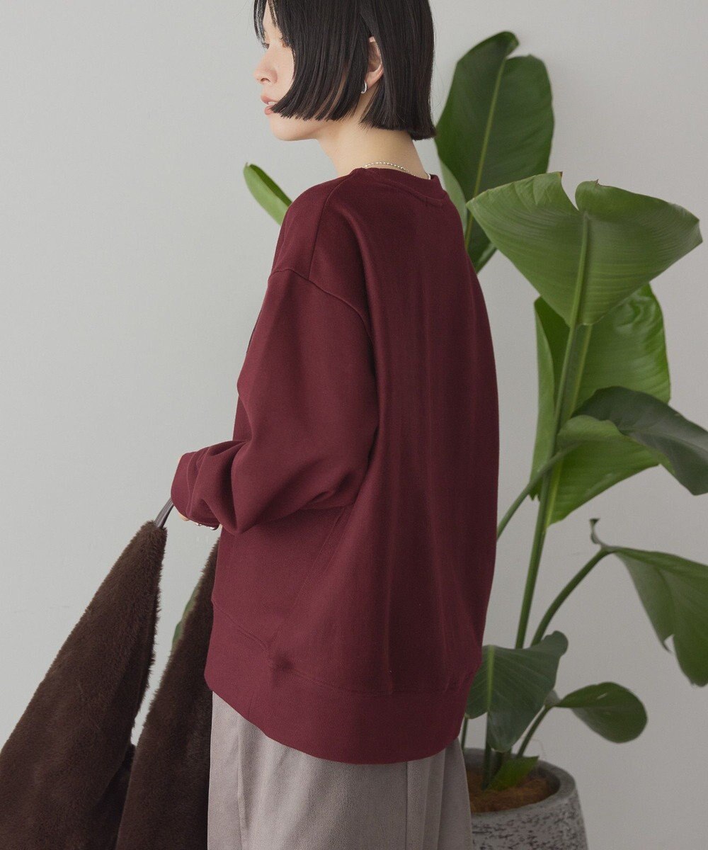 AMERICAN HOLIC Fairfield フロッキースウェットプルオーバー 