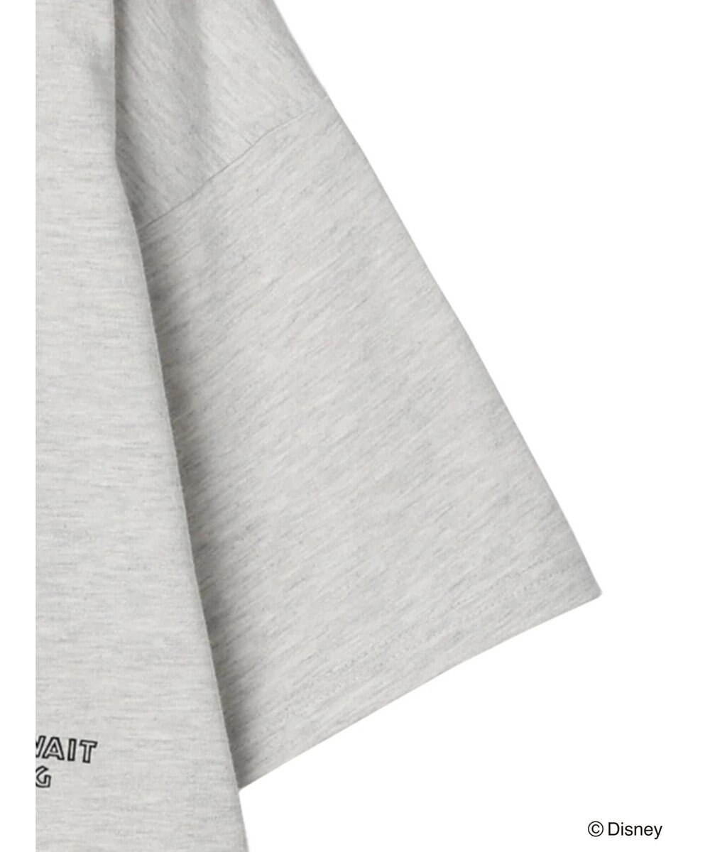 Green Parks ライオン・キング／バックプリントＴｅｅ 