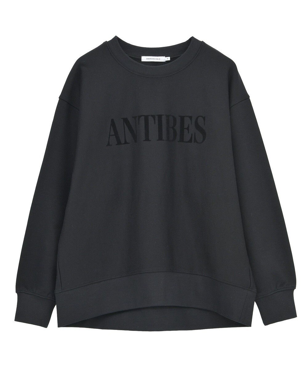 AMERICAN HOLIC Fairfield フロッキースウェットプルオーバー 