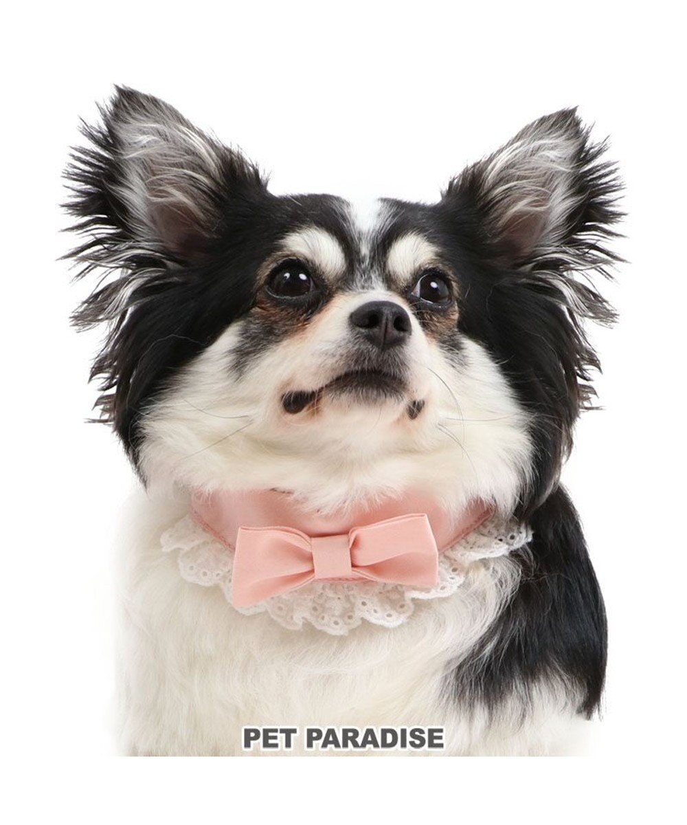 犬 首輪 ｓｓ りぼん 小型犬 リボン おさんぽ おでかけ お出掛け おしゃれ オシャレ かわいい Pet Paradise ファッション通販 公式通販 オンワード クローゼット