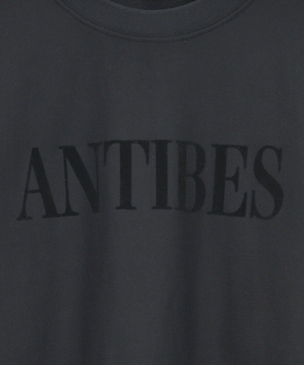 AMERICAN HOLIC Fairfield フロッキースウェットプルオーバー 