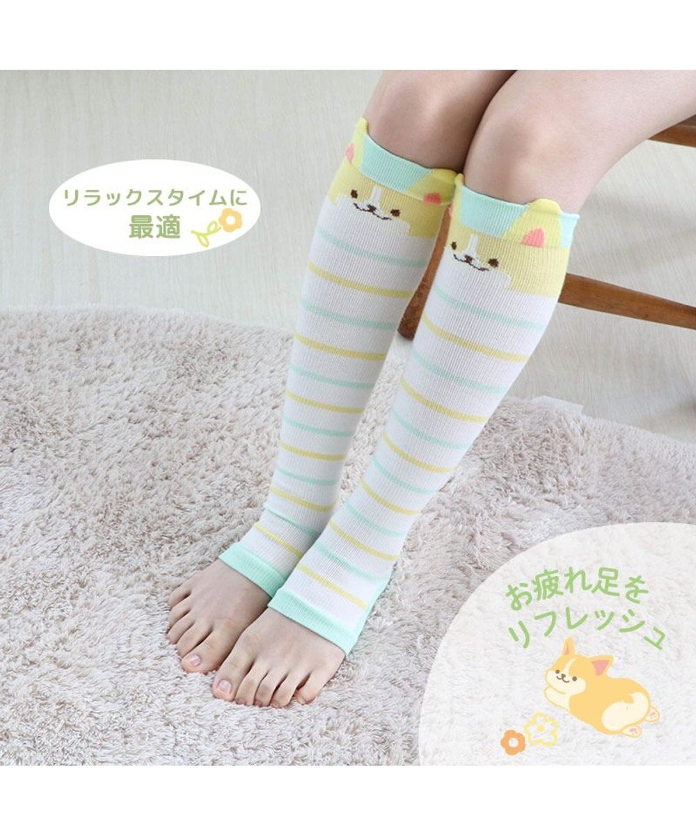 マザーガーデン ふわんこ コーギー ひざ下 着圧靴下 レディースフリーサイズ 靴下 ひざ下丈 着圧ソックス ひきしめ リフレッシュ マッサージ 女性 かわいい プレゼント 健康 靴下雑貨 足つぼ リラックス 誕生日プレゼント 癒しグッズ ギフト Mother Garden マザーガーデン ふわんこ コーギー ひざ下 着圧靴下 レディースフリーサイズ 靴下 ひざ下丈 着圧ソックス ひきしめ リフレッシュ マッサージ 女性 かわいい プレゼント 健康 靴下雑貨 足つぼ リラックス 誕生日プレゼント 癒しグッズ ギフト Mother Garden