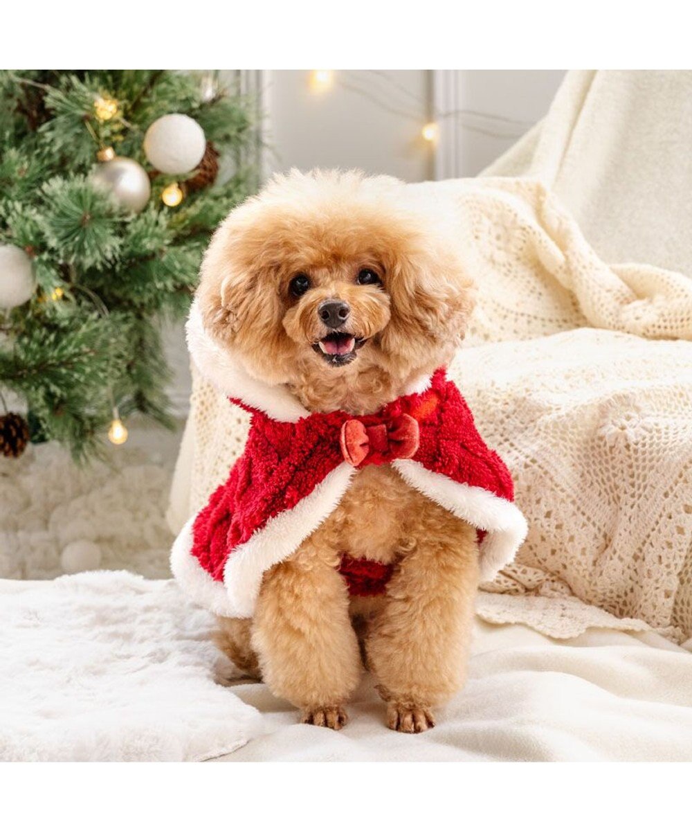 PET PARADISE ペットパラダイス サンタ ポンチョ 2025 小型犬 