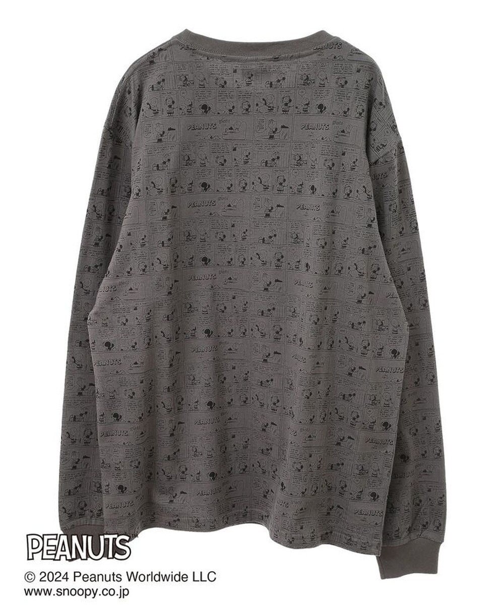 Green Parks ■ＰＥＡＮＵＴＳ　コミックロンＴ 