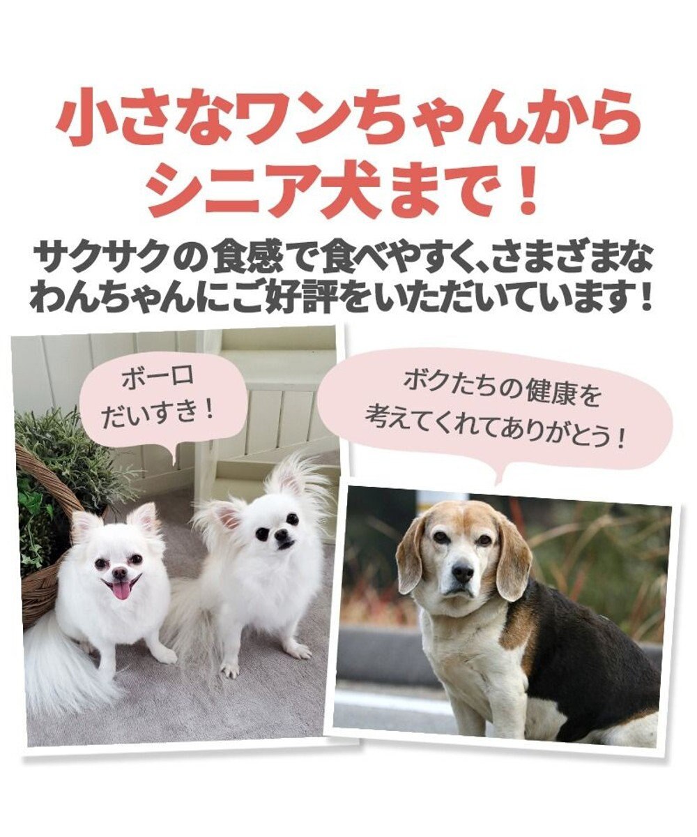 PET PARADISE かぼちゃ ボーロ 160g 大袋 